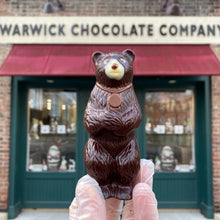 Load image into Gallery viewer, “Warwick” Bear